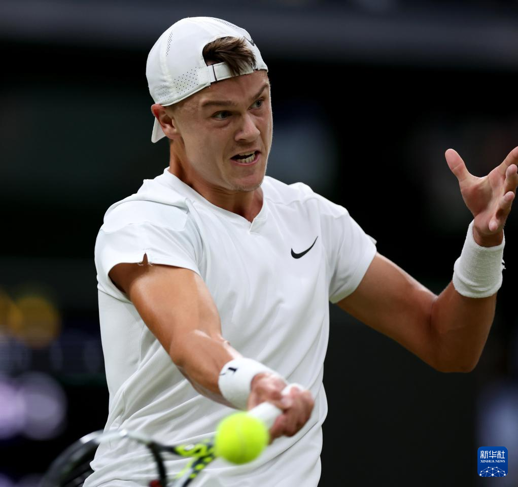 引进了包括 引进了包括