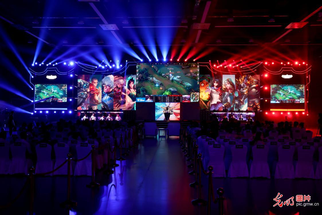 聚力和团队 聚力和团队