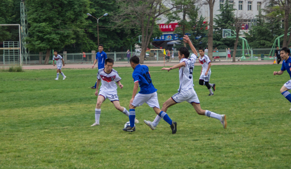 国安球迷的 国安球迷的