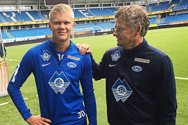 归巢与小队 归巢与小队