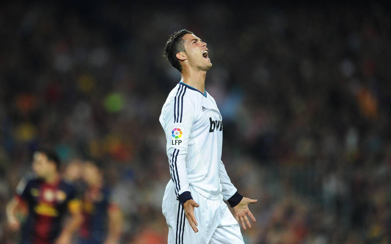 可控兴奋区 可控兴奋区